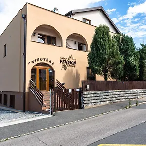 Maison d'hôtes Wine, Prague